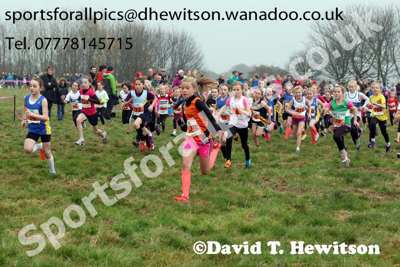 Under-11s NEHL, Aykley Heads, Durham. Photo: David T. Hewitson/Sports for All Pics